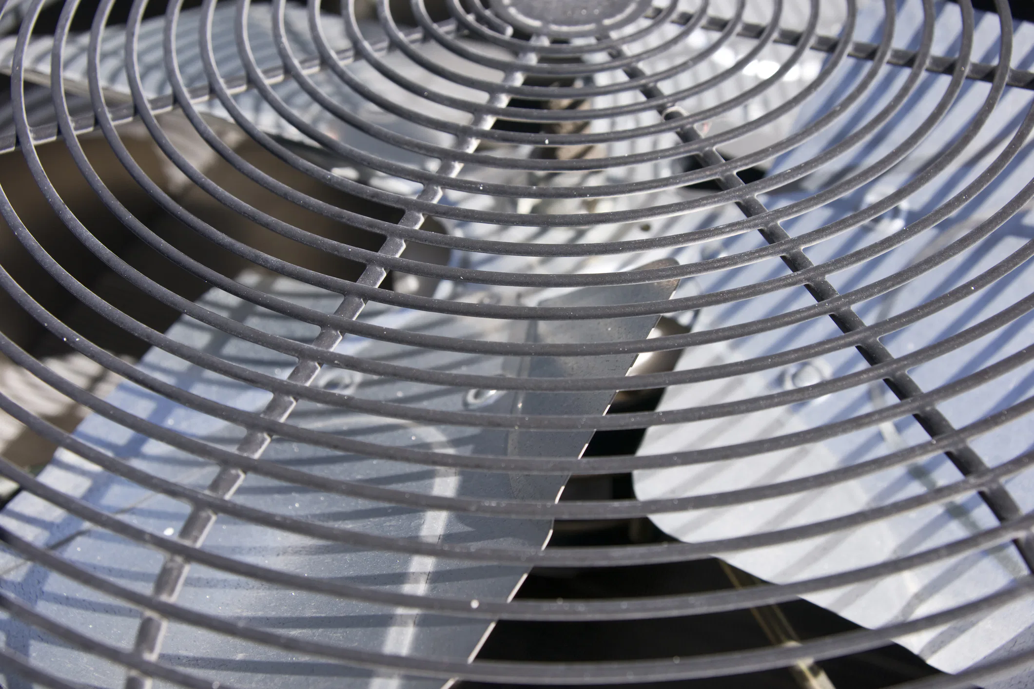 close up fan